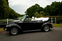 Winkler06062009-7479