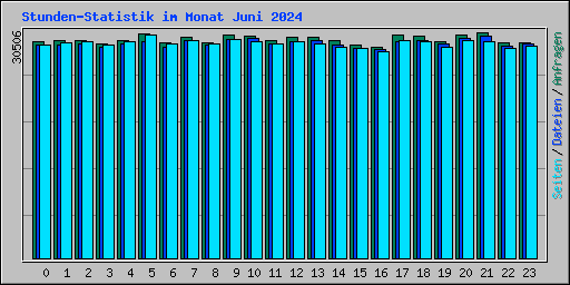 Stunden-Statistik im Monat Juni 2024