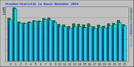 Stunden-Statistik im Monat November 2024