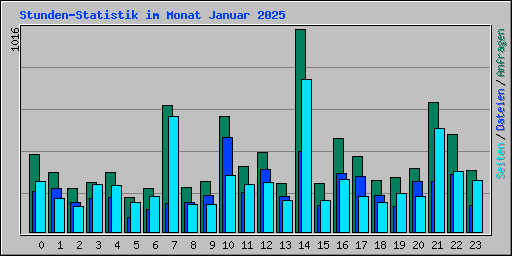 Stunden-Statistik im Monat Januar 2025