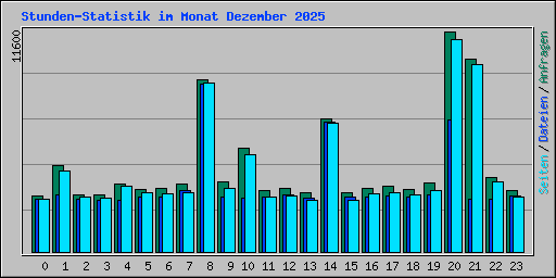 Stunden-Statistik im Monat Dezember 2025