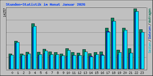 Stunden-Statistik im Monat Januar 2026